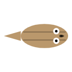 Eyes: Large